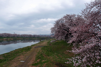 P4230130.jpg