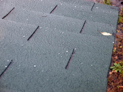 PA020442.jpg