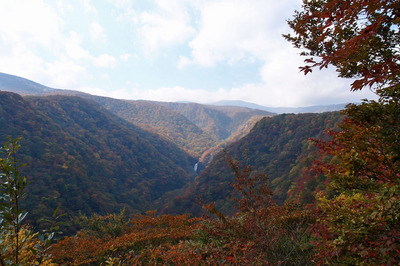 PA260117.jpg